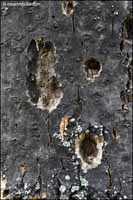 RobertMcCaw.com
