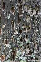 RobertMcCaw.com