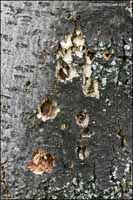 RobertMcCaw.com