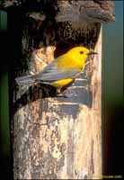 RobertMcCaw.com