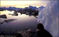 RobertMcCaw.com