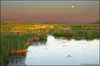 RobertMcCaw.com