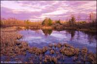RobertMcCaw.com