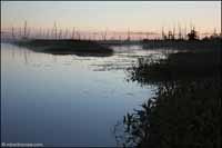 RobertMcCaw.com