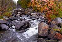 RobertMcCaw.com