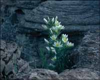 RobertMcCaw.com